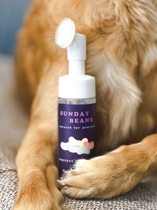 Foaming Paw Cleanser